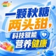 相聚金陵金秋，第115届秋季糖酒会，共启食饮新战略